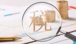 電子稅務(wù)局1月新增重點(diǎn)功能！速看！