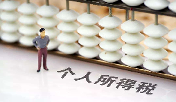 如何在網(wǎng)上打印個(gè)人所得稅納稅記錄？
