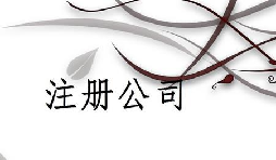 注冊(cè)公司為什么推薦找代理注冊(cè)公司的機(jī)構(gòu)呢？