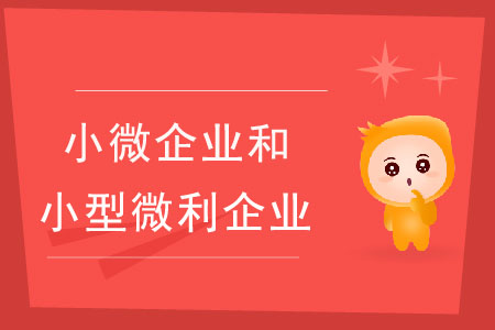 小微企業(yè)和小型微利企業(yè)有什么區(qū)別？
